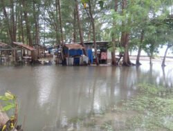 Waspadai Gelombang Tinggi dan Angin Kencang, Banjir Rob