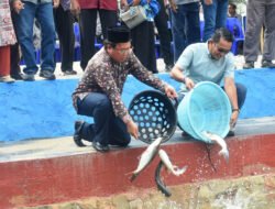 Desa Padang Kini Punya Kolam Pemancingan, Dibangun dengan Anggaran Desa Tahun 2024