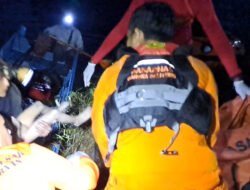 Bocah 5 Tahun Diterkam Buaya, Tubuhnya Ditemukan Mengapung di Kolong Bekas Tambang
