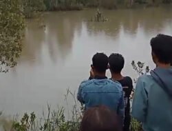 Warga Belitung Diterkam Buaya, Tim Gabungan Lakukan Pencarian di Sungai Cerucuk