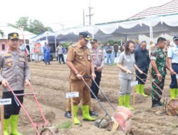 Dukung Program Ketahanan Pangan Nasional, Polres Belitung Tanam Jagung di Desa Badau