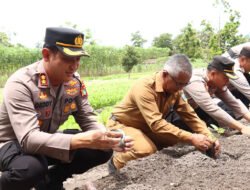 Launching Program Pekarangan Pangan Lestari, Dukung Ketahanan Pangan 2025