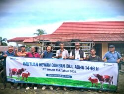 Serahkan Bantuan Hewan Kurban, Yudi Ariyanto: Terima Kasih PT Timah Tbk
