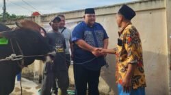 Kapolres Belitung Serahkan 7 Sapi dan 3 Kambing untuk Kurban Iduladha 1446 Hijriah