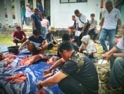 Pokja Wartawan Belitung Terima 1 Sapi dari PT Timah Tbk Untuk Kurban Iduladha 1446 Hijriah