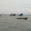 Festival Perahu Layar Tradisional 2025 Tanjung Rusa, Zarmadi dan Arzawi Juara