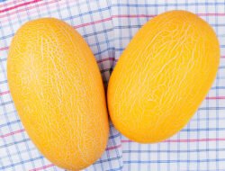 Segarnya Timun Suri, Pelepas Dahaga Favorit Saat Buka Puasa