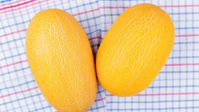 Segarnya Timun Suri, Pelepas Dahaga Favorit Saat Buka Puasa