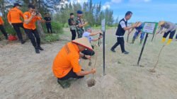 Kantor SAR Pangkalpinang Tanam 540 Mangrove di Lahan Bekas Tambang