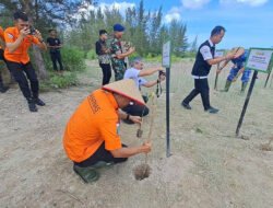 Kantor SAR Pangkalpinang Tanam 540 Mangrove di Lahan Bekas Tambang
