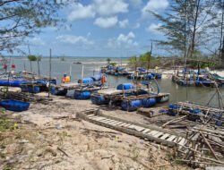 Warga Resah, Polisi Tertibkan Aktivitas Tambang Ilegal di Hutan Lindung Pantai Membalong