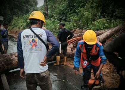 Petugas PLN bersama warga melakukan penanganan pohon tumbang yang menimpa jaringan listrik di wilayah Bangka Belitung sebagai bagian dari proses pemulihan pasokan listrik pascagangguan cuaca ekstrem.
