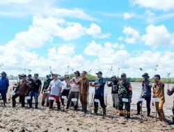 Penanaman 2.500 bibit mangrove oleh TCI dan warga di Desa Juru Sebrang, Belitung