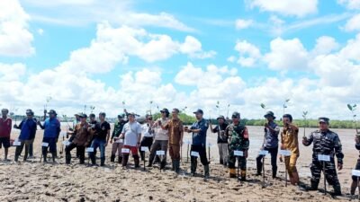 Penanaman 2.500 bibit mangrove oleh TCI dan warga di Desa Juru Sebrang, Belitung