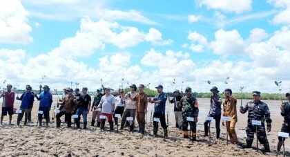 Penanaman 2.500 bibit mangrove oleh TCI dan warga di Desa Juru Sebrang, Belitung